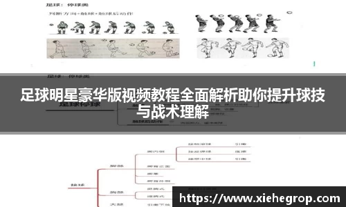 足球明星豪华版视频教程全面解析助你提升球技与战术理解